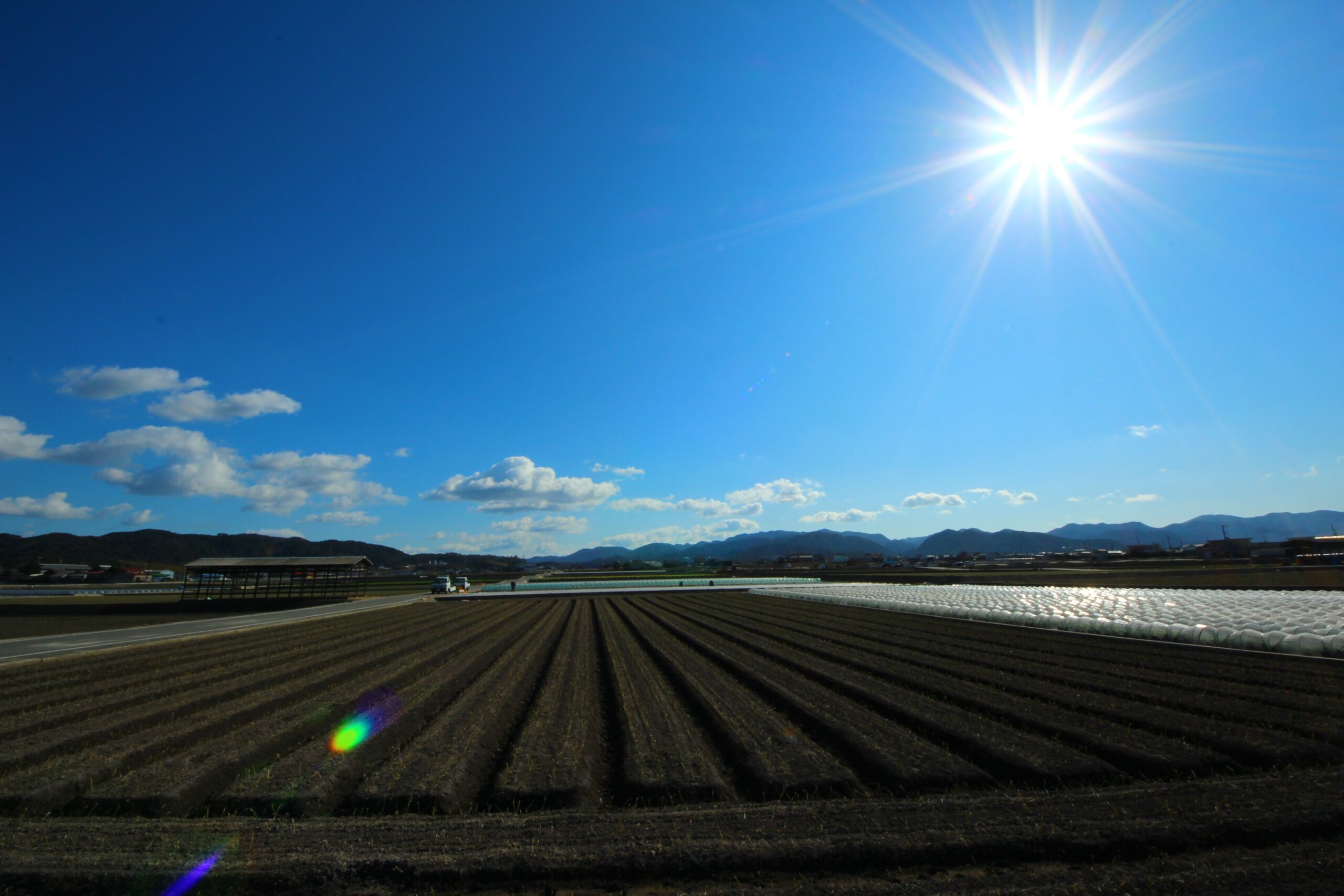 セラミドの効果を知って、髪にも頭皮にも髪質改善ケアを！
